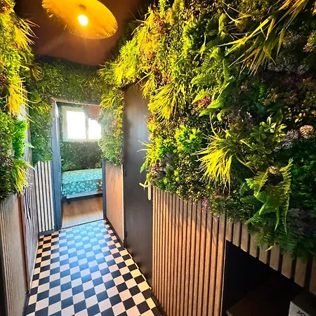 Mango Jungle - Chaleureux Sur Le Theme De La Jungle Avec Balcon A Appartement