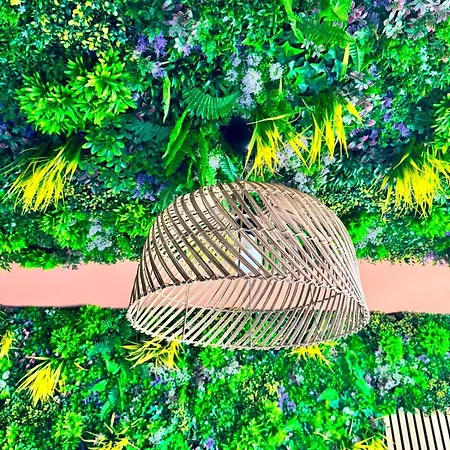Appartement Mango Jungle - Chaleureux Sur Le Theme De La Jungle Avec Balcon A
