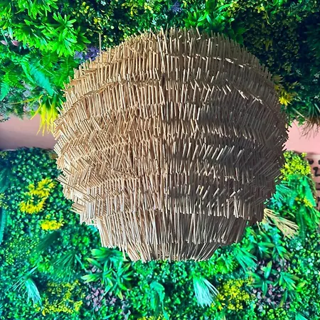 Appartement Mango Jungle - Chaleureux Sur Le Theme De La Jungle Avec Balcon A